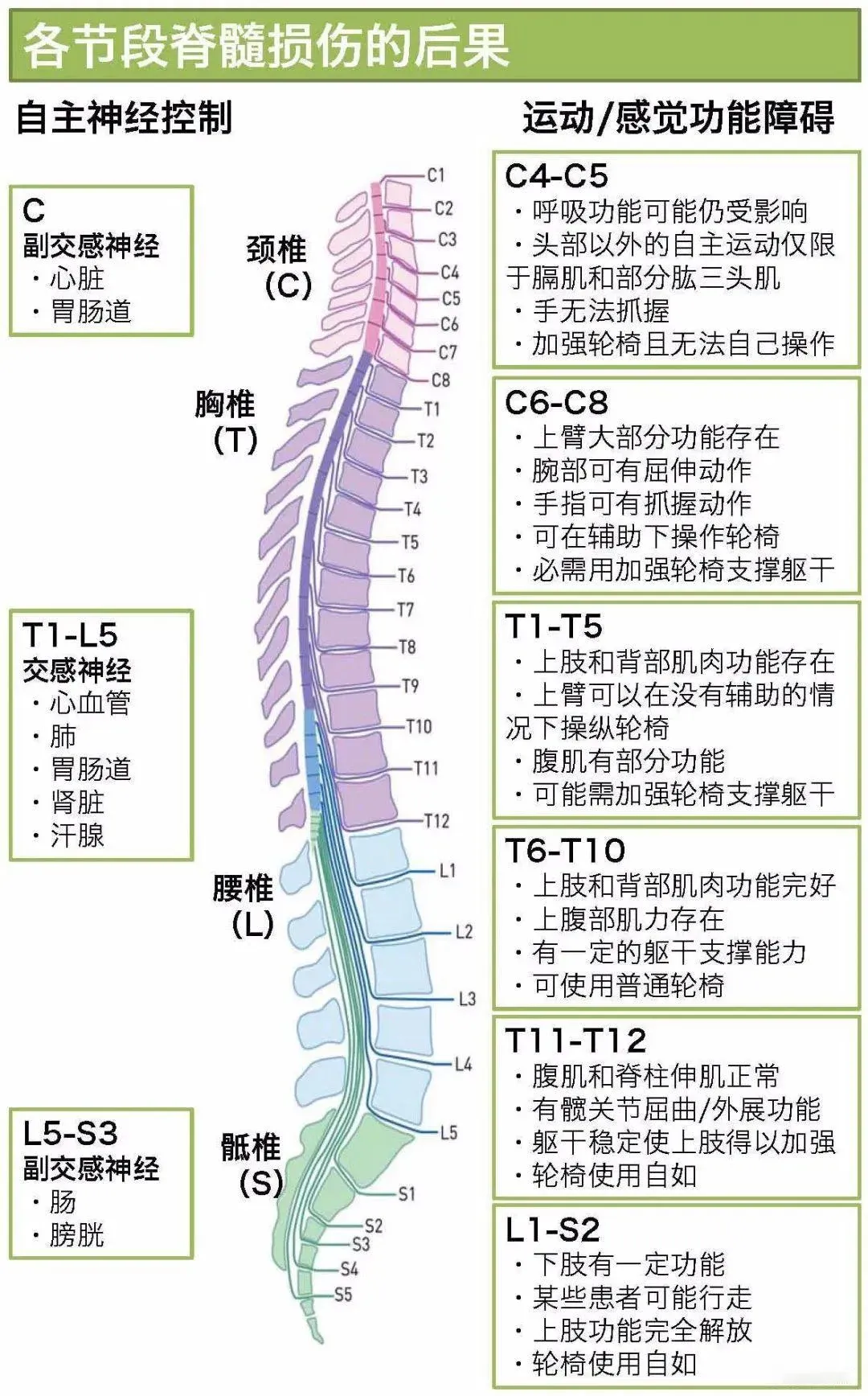 国际脊髓损伤日：穿上外骨骼机器人，站立行走不是梦