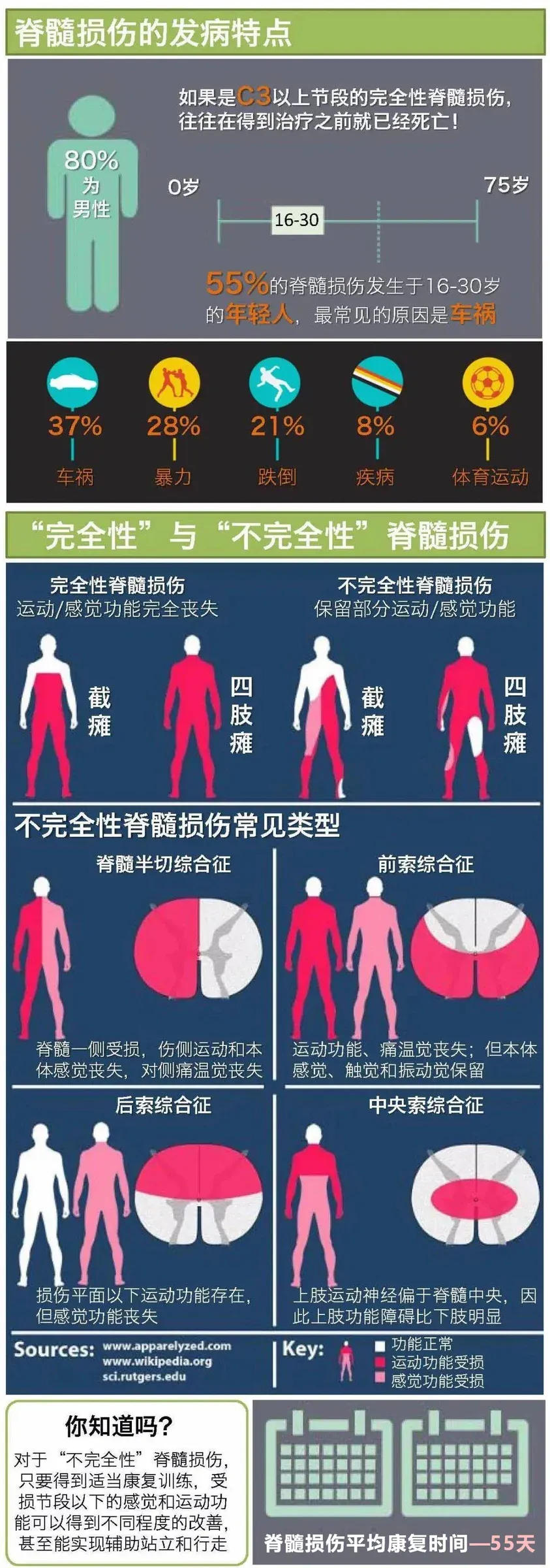 国际脊髓损伤日：穿上外骨骼机器人，站立行走不是梦
